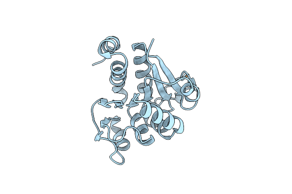4BTE image