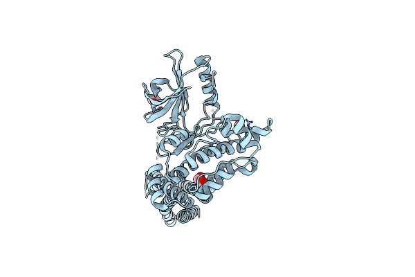 4BTF image