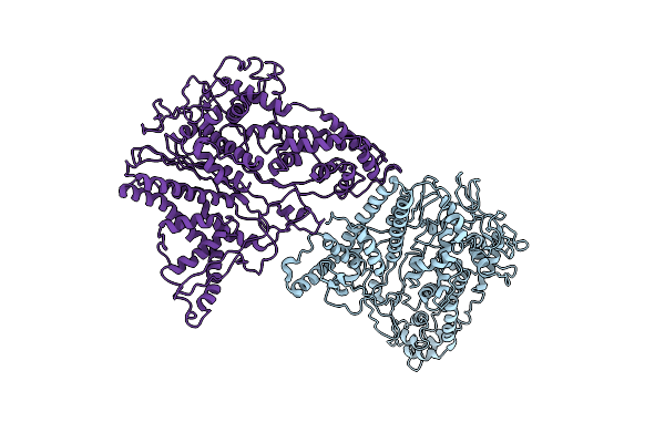 4BTG image