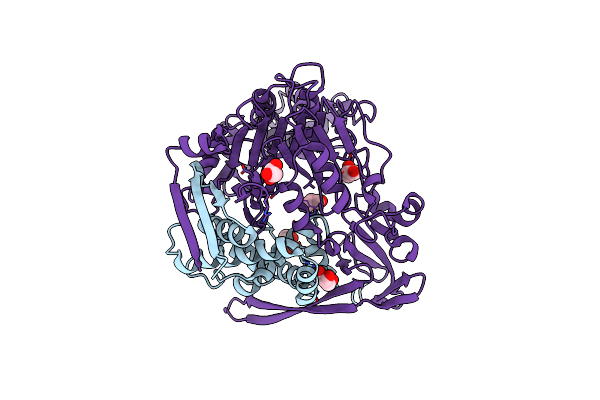 4BTH image