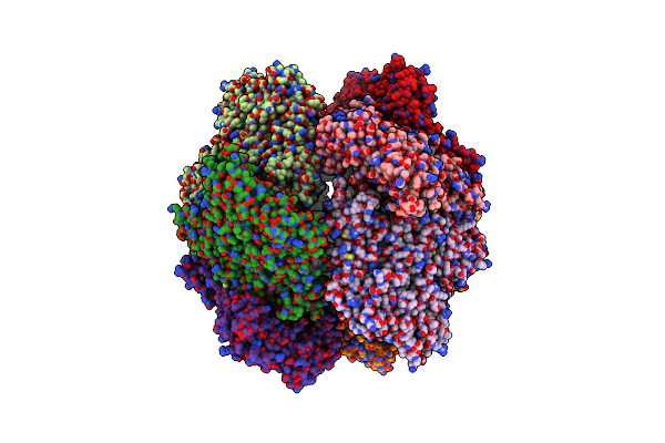 4BTP image