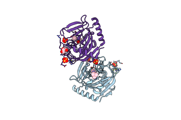 4BUD image