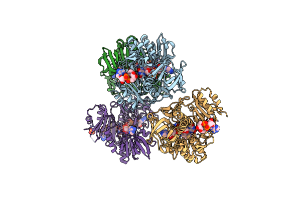4BUR image