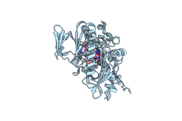 4BV6 image