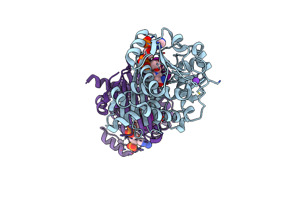 4BVA image