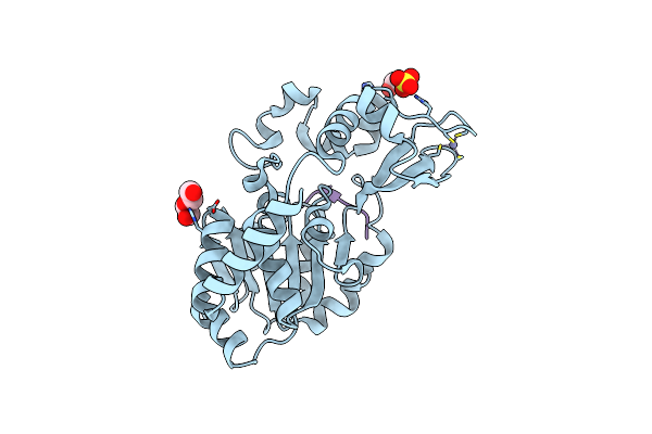 4BVE image