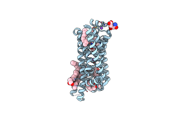 4BVN image
