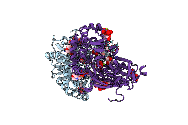 4BVP image