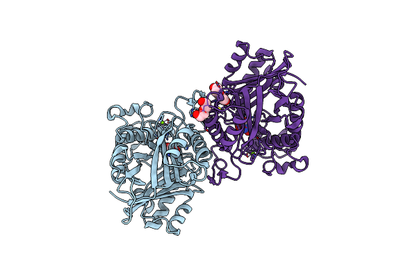 4BVT image