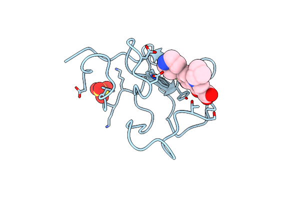 4BVV image