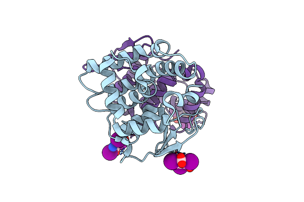 4BVX image