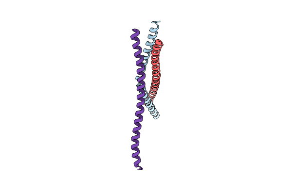4BWD image