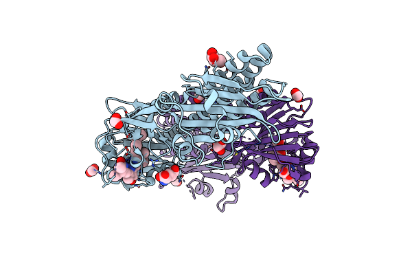 4BWI image