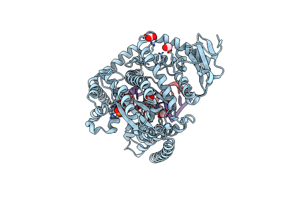 4BWM image