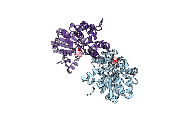 4BX3 image