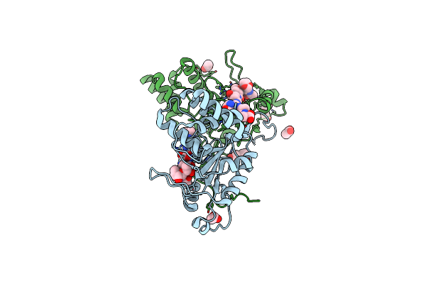 4BXE image
