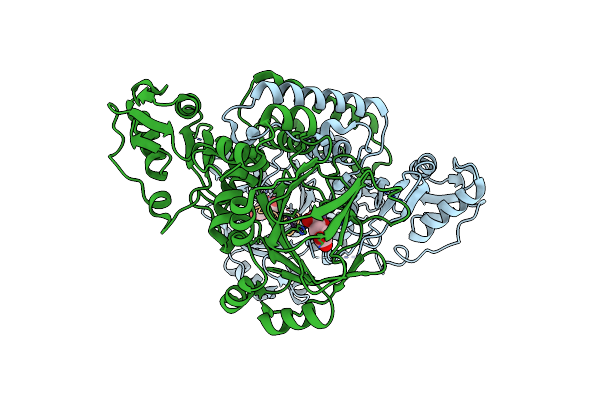 4BXF image