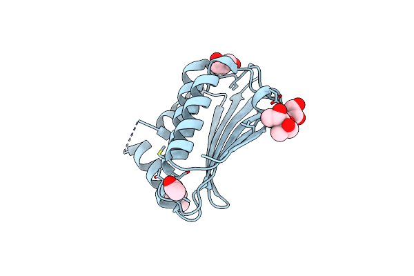 4BXI image