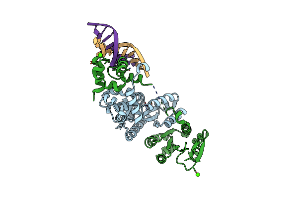 4BXO image