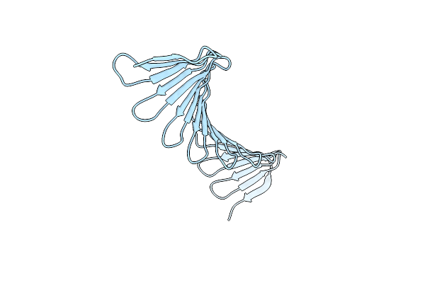 4BXP image