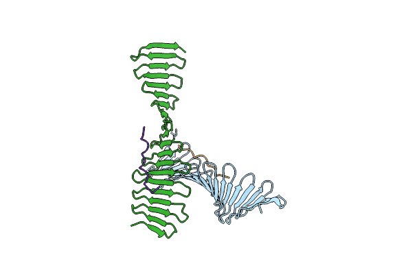 4BXR image