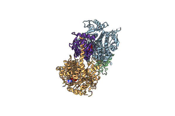 4BYF image