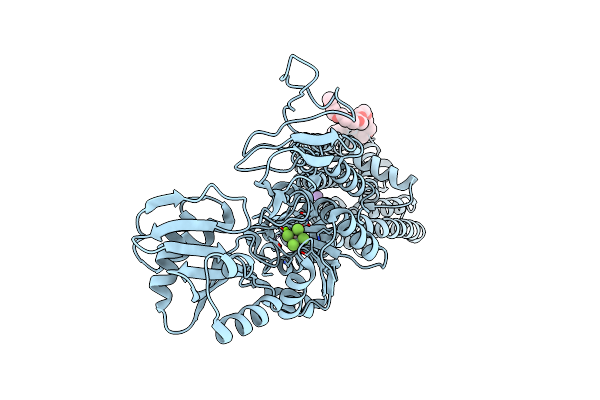 4BYG image
