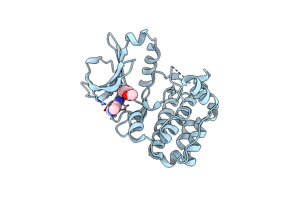 4BYI image