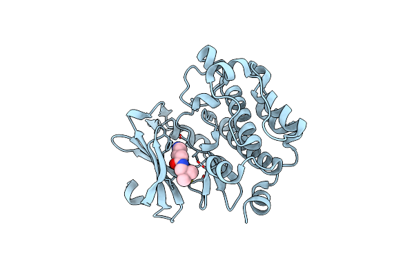 4BZN image