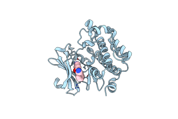 4BZO image