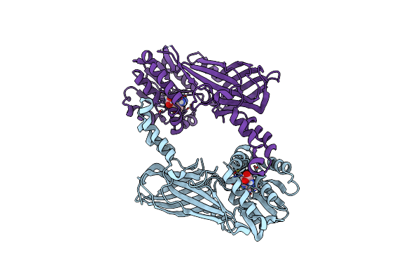 4C03 image