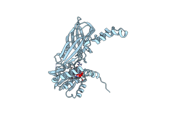 4C04 image