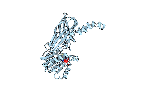 4C05 image