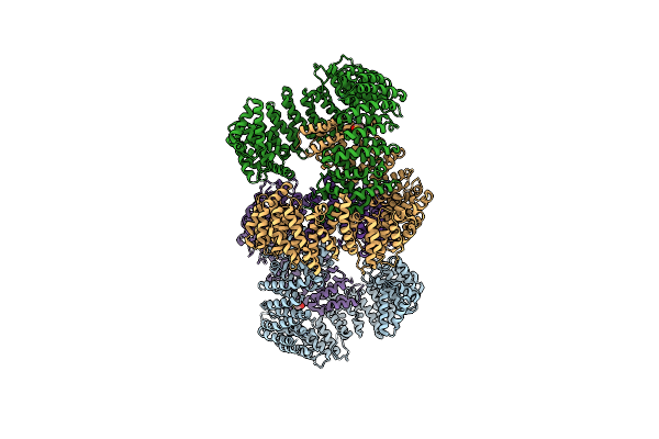4C0P image