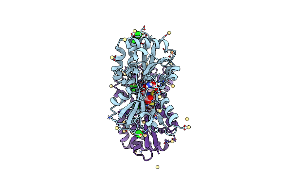 4C0R image