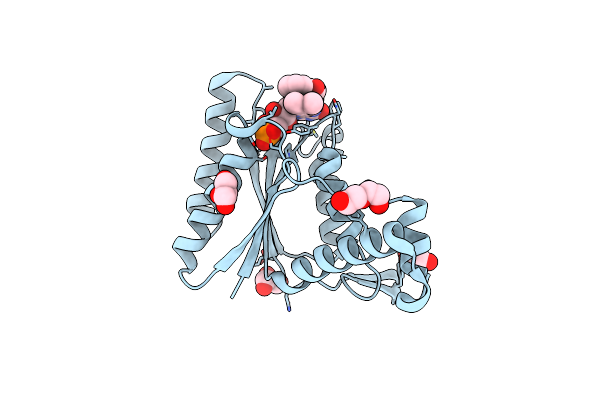 4C0X image