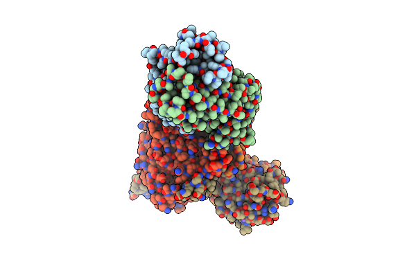 4C10 image