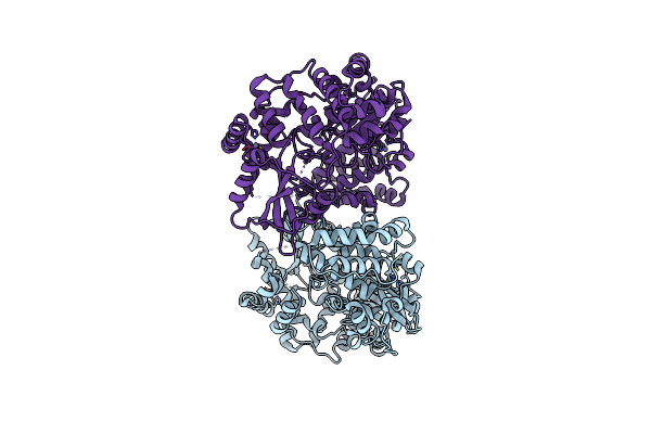 4C11 image