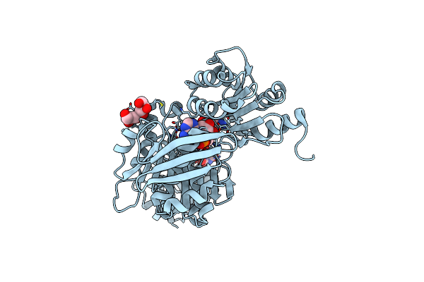 4C12 image