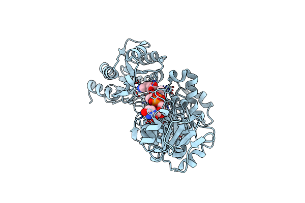 4C13 image
