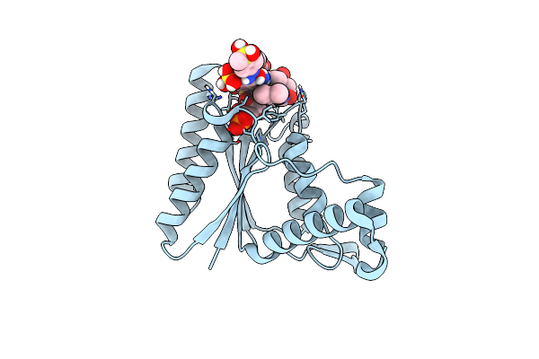4C14 image