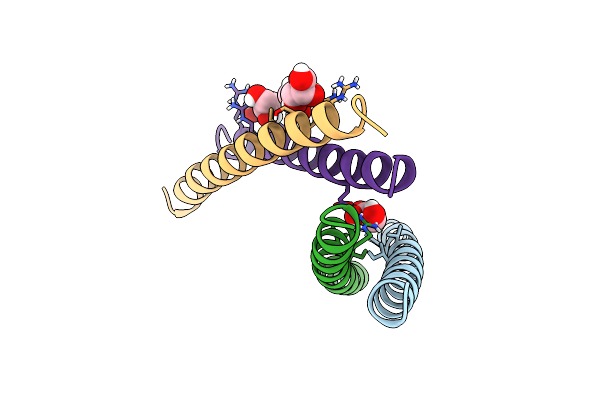 4C1A image
