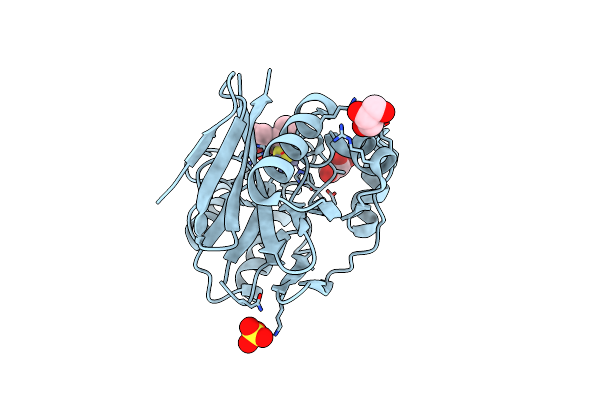 4C1C image