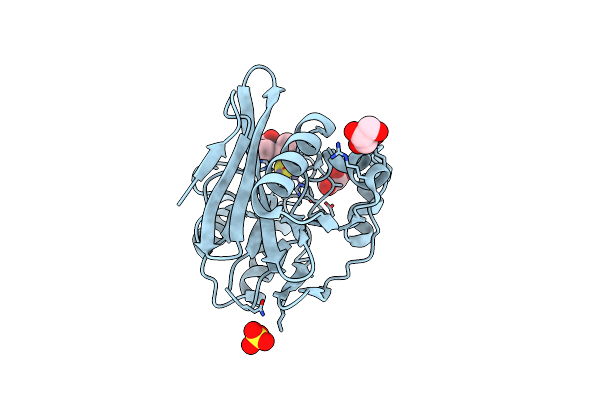 4C1H image