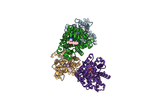 4C1I image