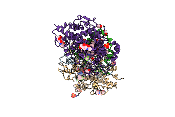 4C1M image