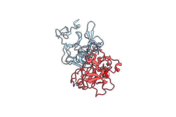 4C1Q image