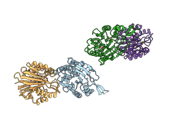 4C1R image