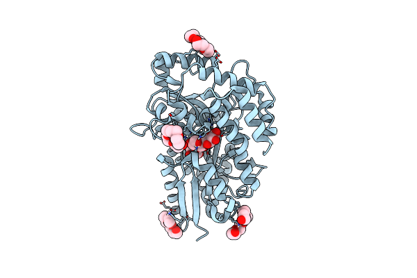 4C1U image