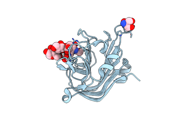 4C1W image